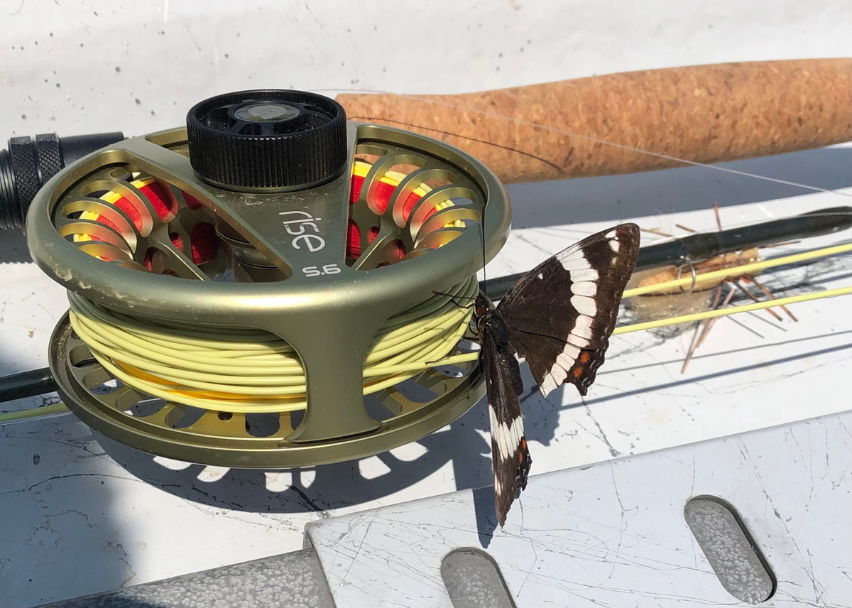 Bow River & Southern Alberta July 12th Update