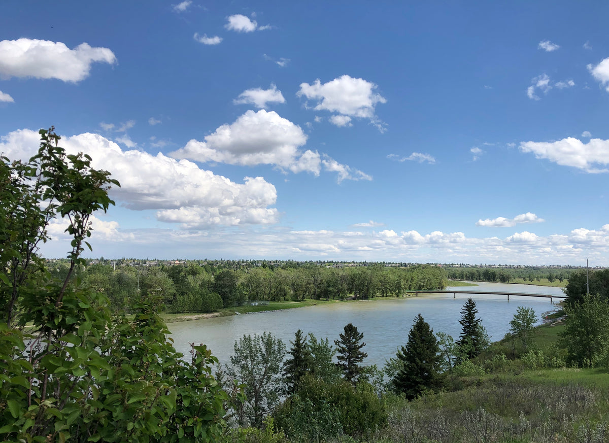 Water report - June 15, 2020