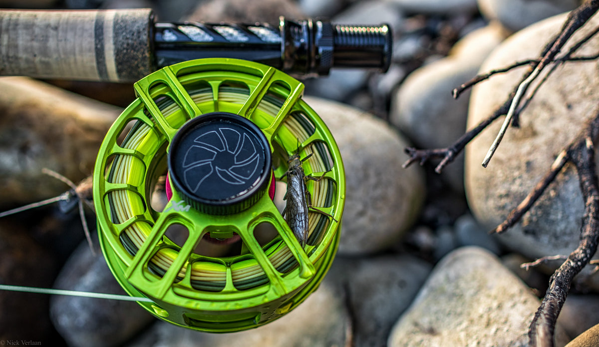 Dry fly with a dropper aka Hopper/dropper.