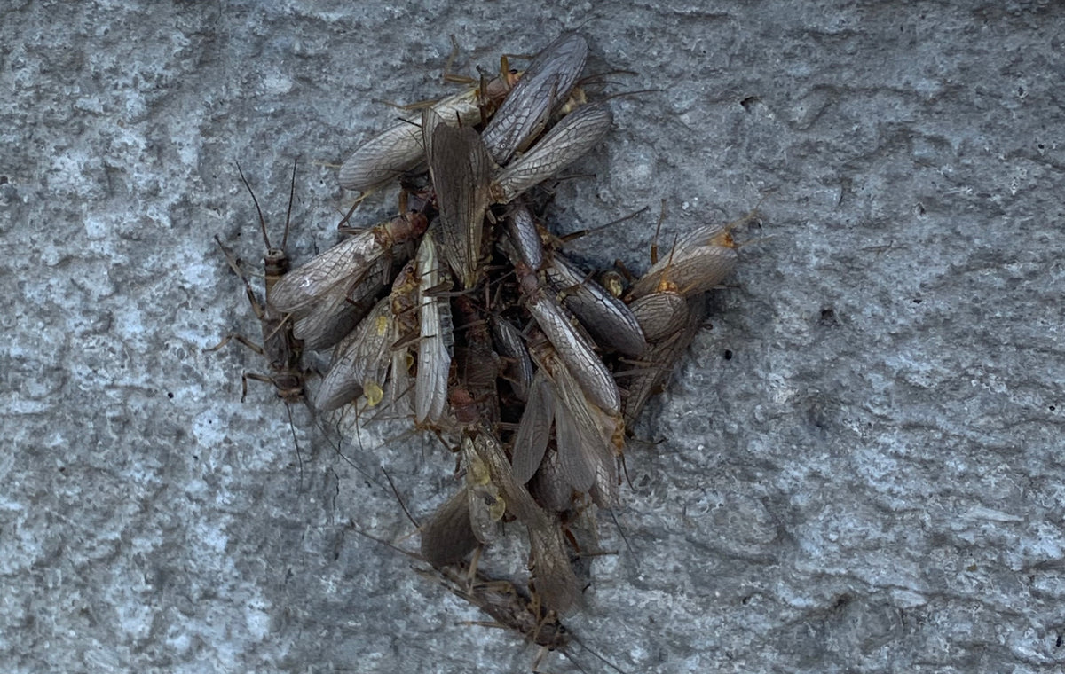 Water Report - July 18, 2020