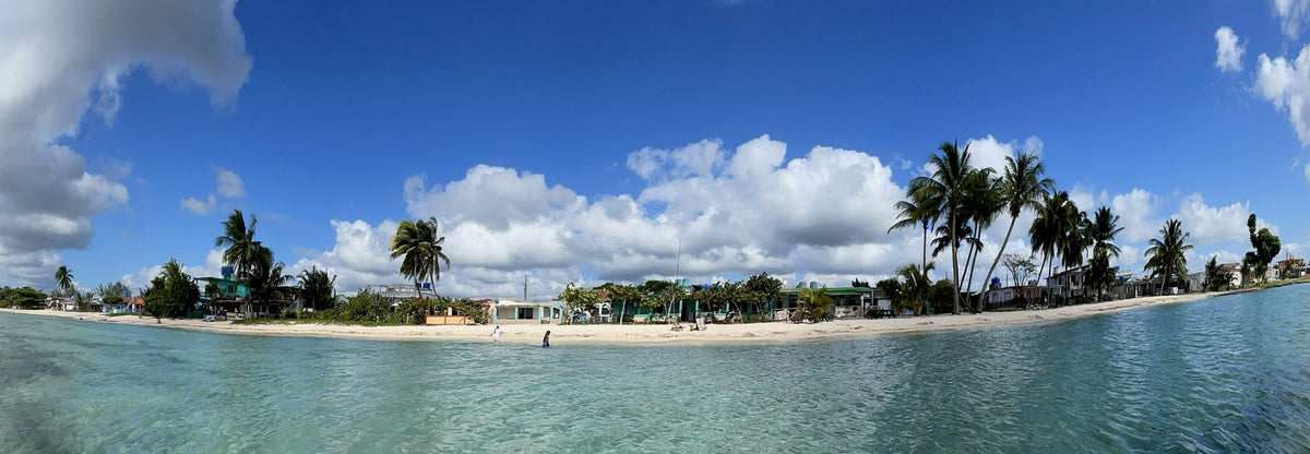 Las Salinas/Playa Larga, Cuba - 2025/2026 Trip Dates