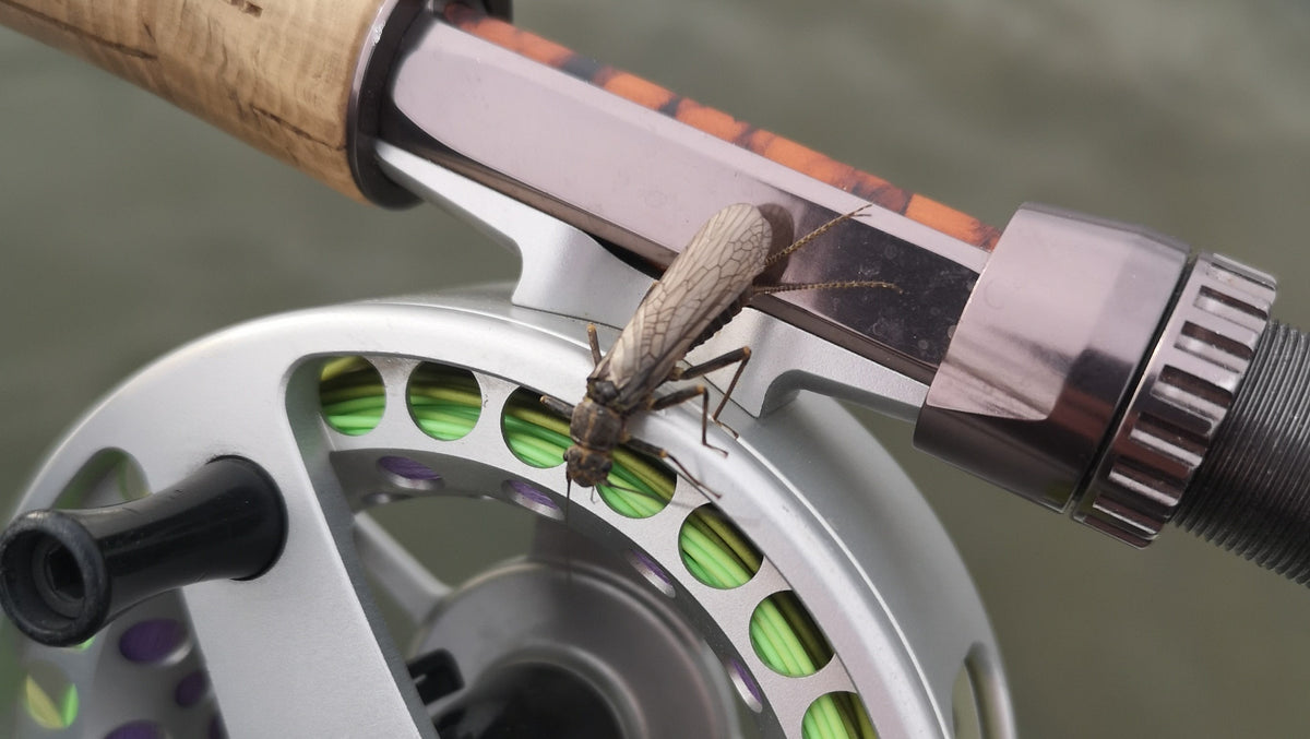 BOW RIVER FISHING REPORT APRIL 12, 2024