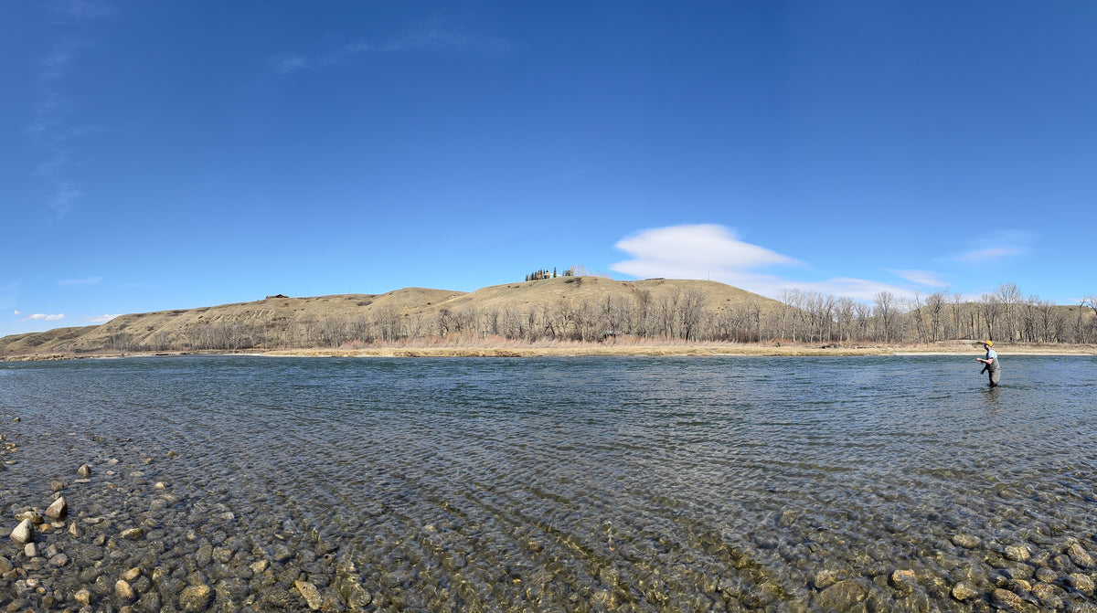 Bow River Fishing Report April 19, 2025