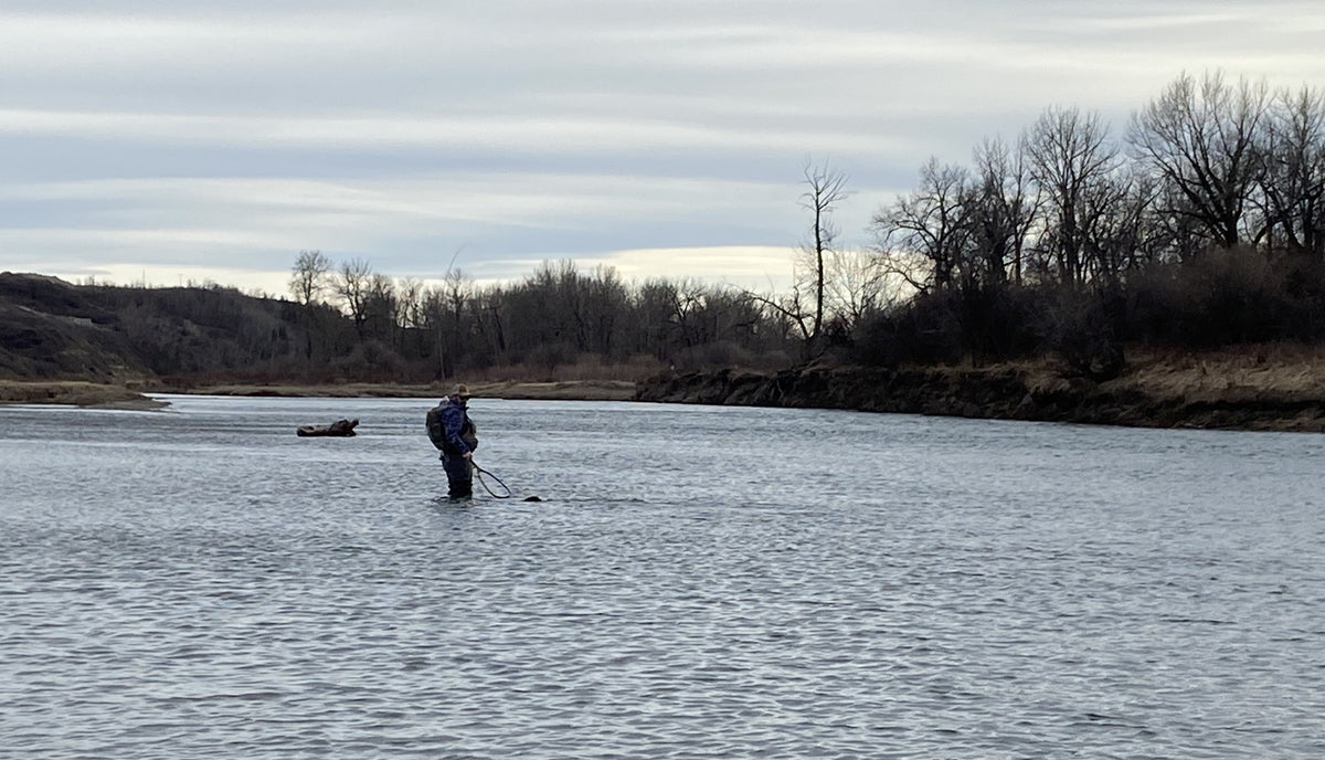 Bow River Fishing Report April 30, 2025