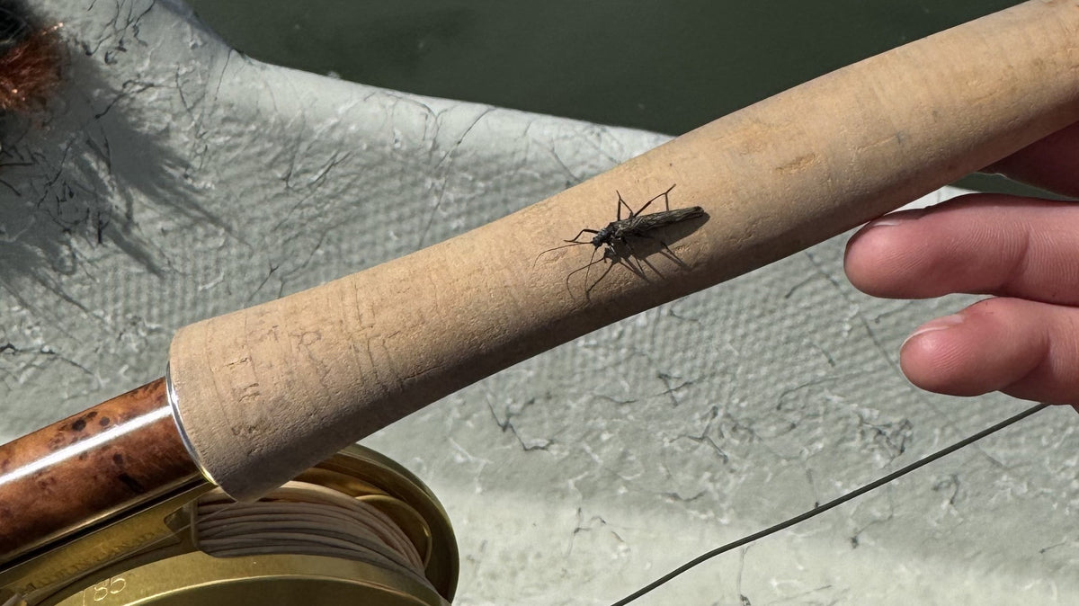 Bow River Fishing Report April 04, 2025