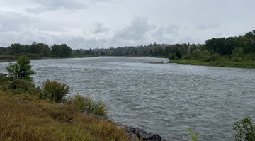 Bow River Fishing Report - August 16, 2026