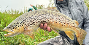 Bow River Fishing Report August 30, 2024