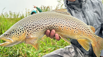 Bow River Fishing Report August 30, 2024