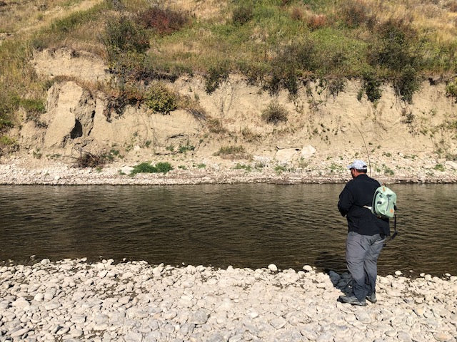 River update - September 2020