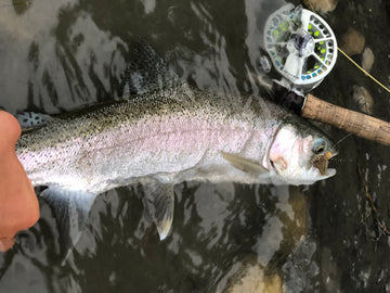River Report - July 14, 2018