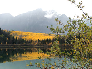Course - Lake Fly Tying and Fishing Tactics - Fall 2023 Dates