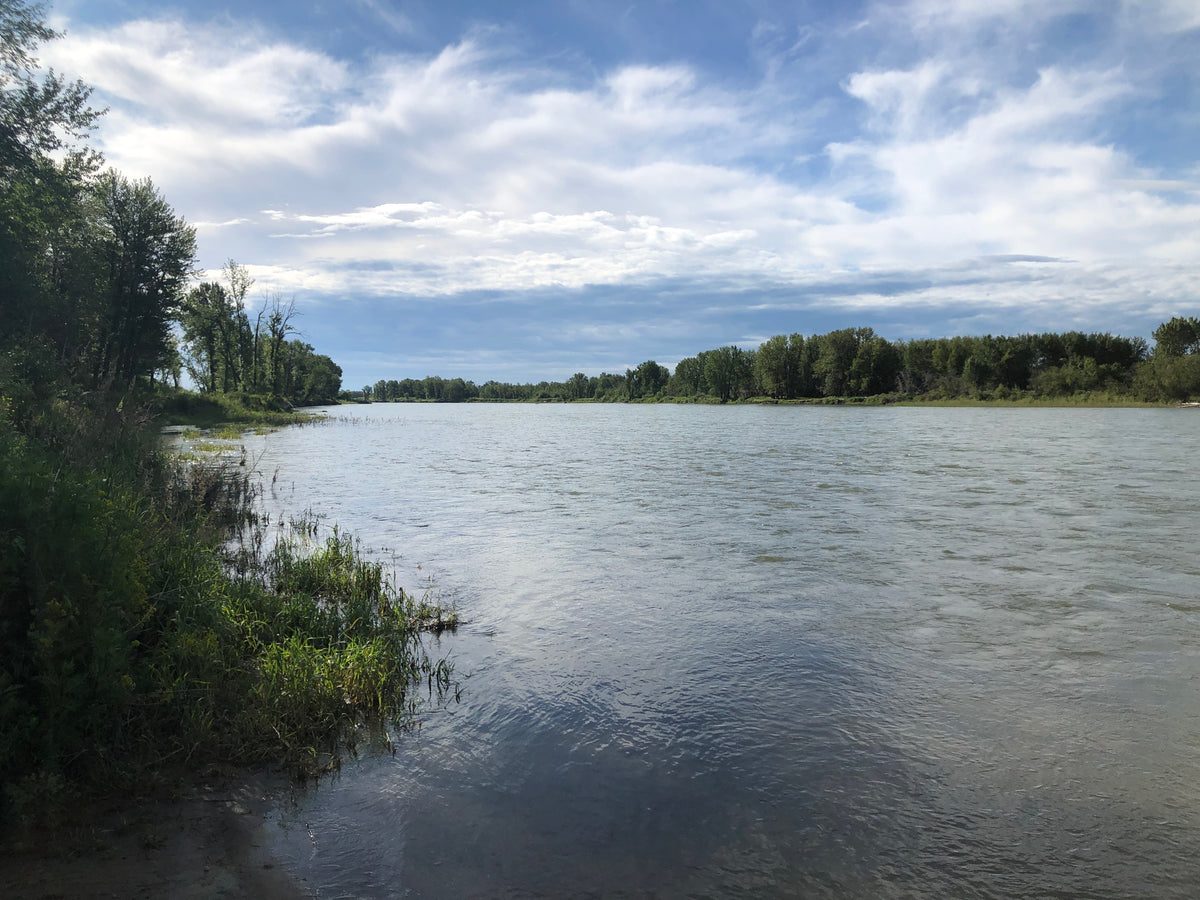 River Update - July 11, 2020