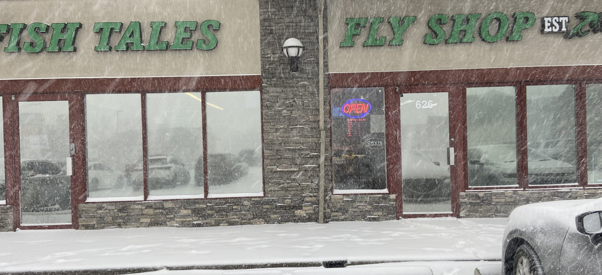 Bow River Fishing Report - December 19, 2025