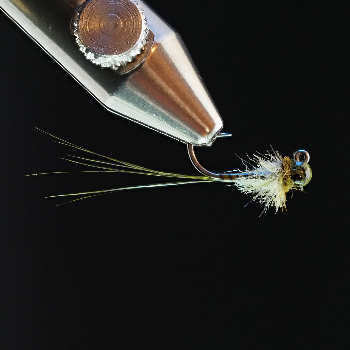 Fly Tie Tuesday - Einstein Caddis - Oct/06/2020
