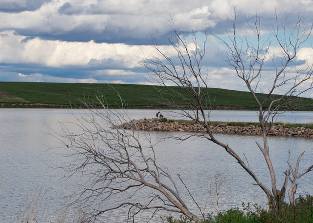 DDS and Pike Fishing