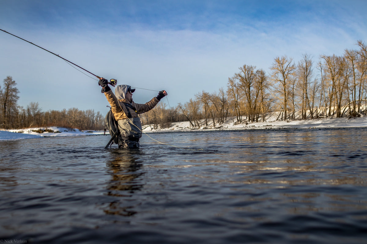 Euro Rods for Everyone