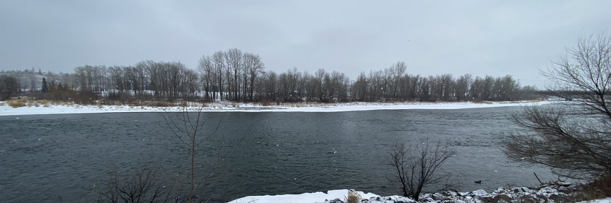 Bow River Fishing Report - February 27 , 2026