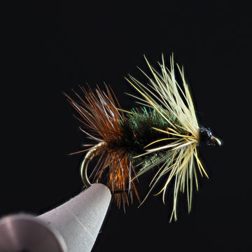 Fly Tie Tuesday  - Renegade 01/07/2020