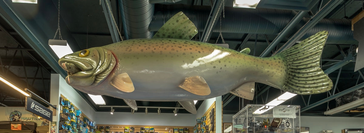 The big (display) fish story