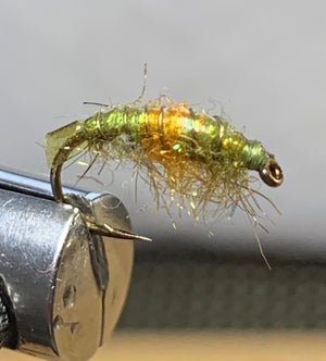 Fly Tie Tuesday - Pregnant Scud 05/19/2020