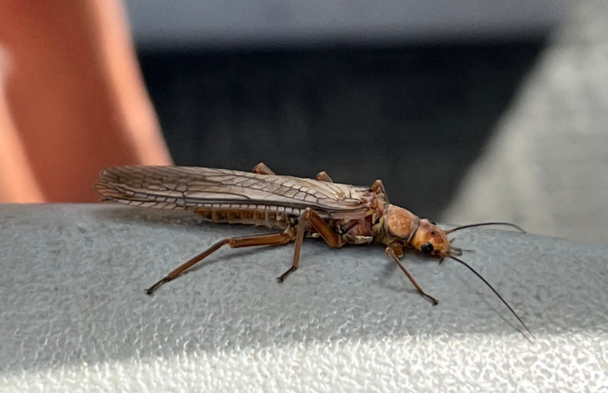 Water Report - June 7, 2023