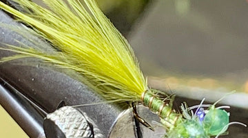 Fly Tie Tuesday - Straggle String Damsel 05/12/2020