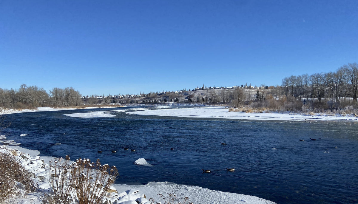 Bow River Fishing Report - January 25, 2026