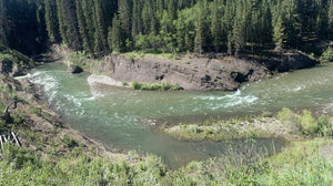 BOW RIVER FISHING REPORT JULY 12, 2024