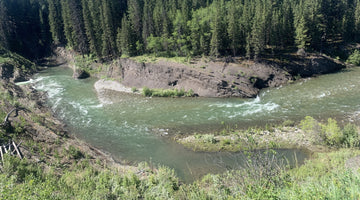 BOW RIVER FISHING REPORT JULY 12, 2024