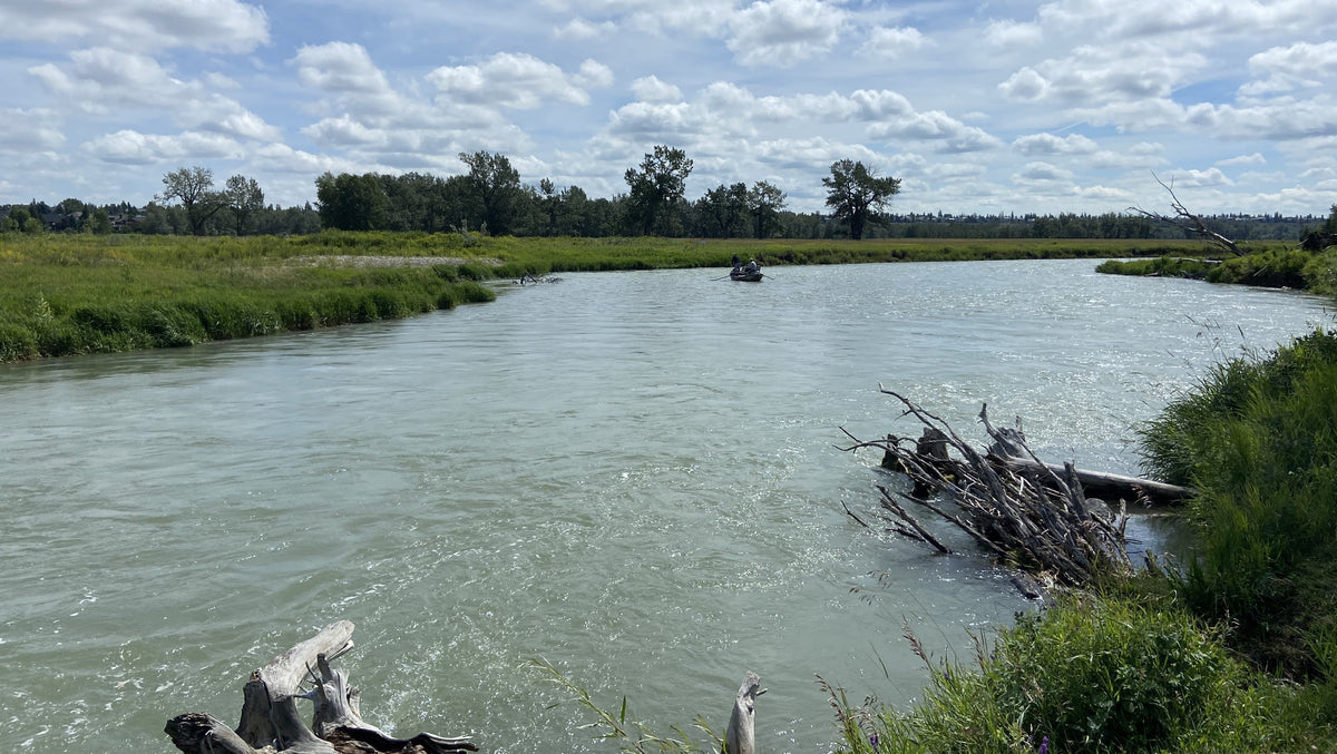 Bow River Fishing Report - July 18, 2025