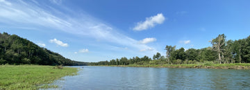 Bow River Fishing Report - July 24, 2026