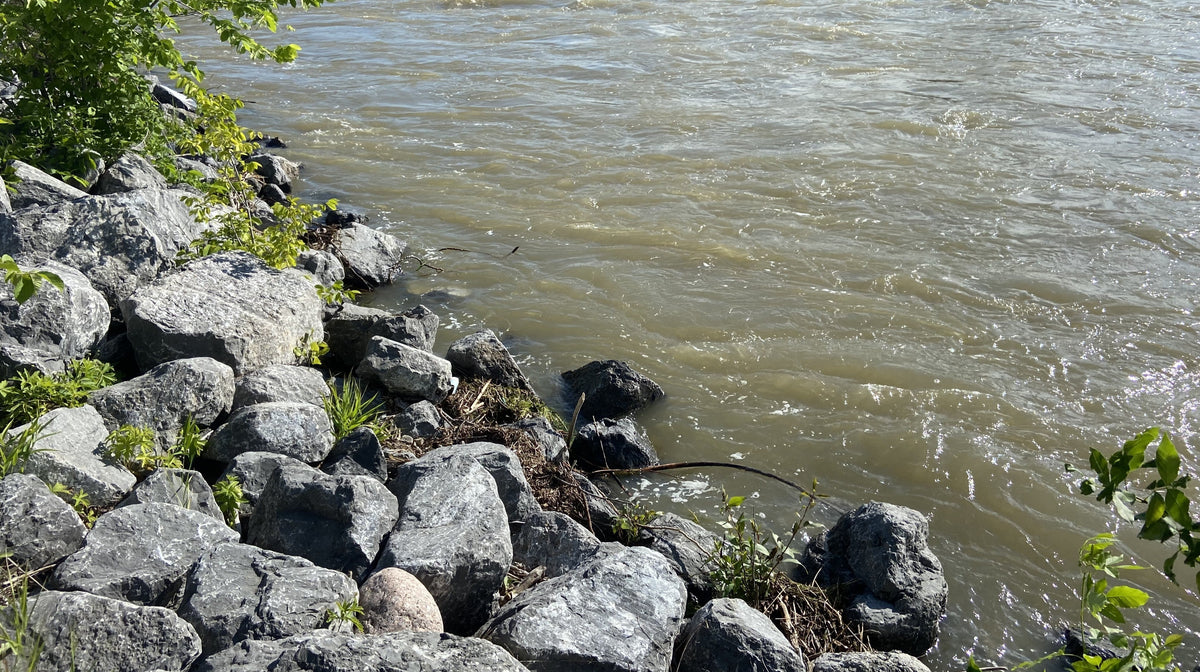 Bow River Fishing Report - July 25, 2025