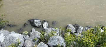 Bow River Fishing Report - July 3, 2026