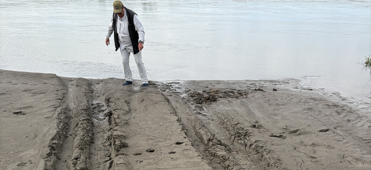 Bow River Fishing Report - June 12, 2026