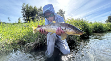 BOW RIVER FISHING REPORT JUNE 14, 2024