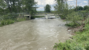 Bow River Fishing Report - June 22, 2025