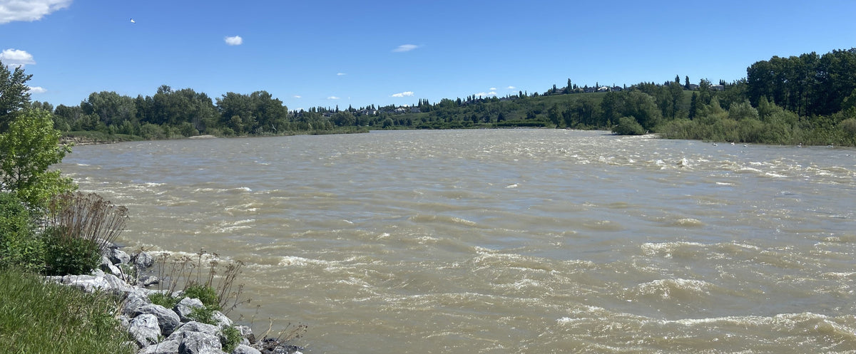 Bow River Fishing Report - June 5, 2026