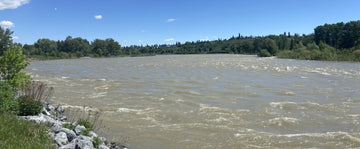 Bow River Fishing Report - June 5, 2026