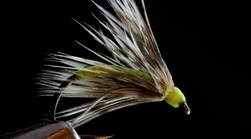 Fly Tie Tuesday – Lime Soft Hackle 07/14/2020