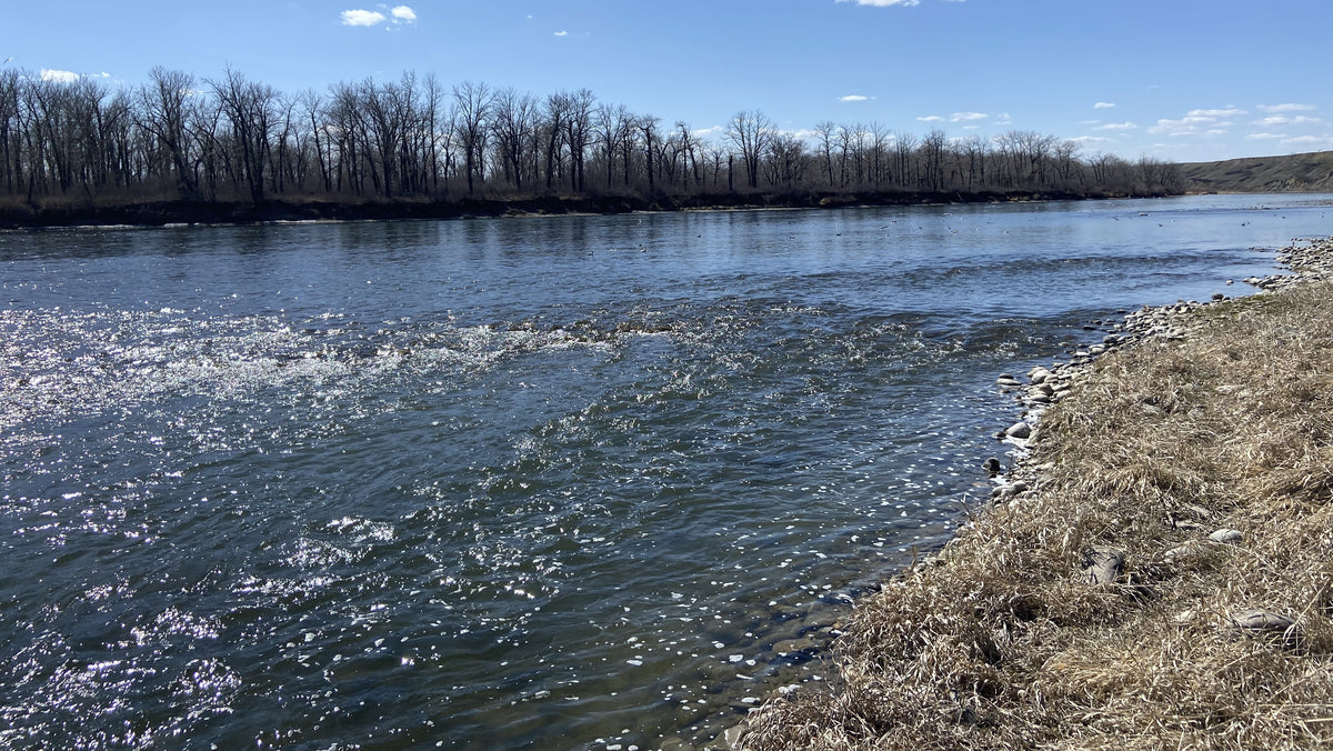 BOW RIVER FISHING REPORT MAY 10, 2024