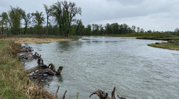 BOW RIVER FISHING REPORT MAY 17, 2024
