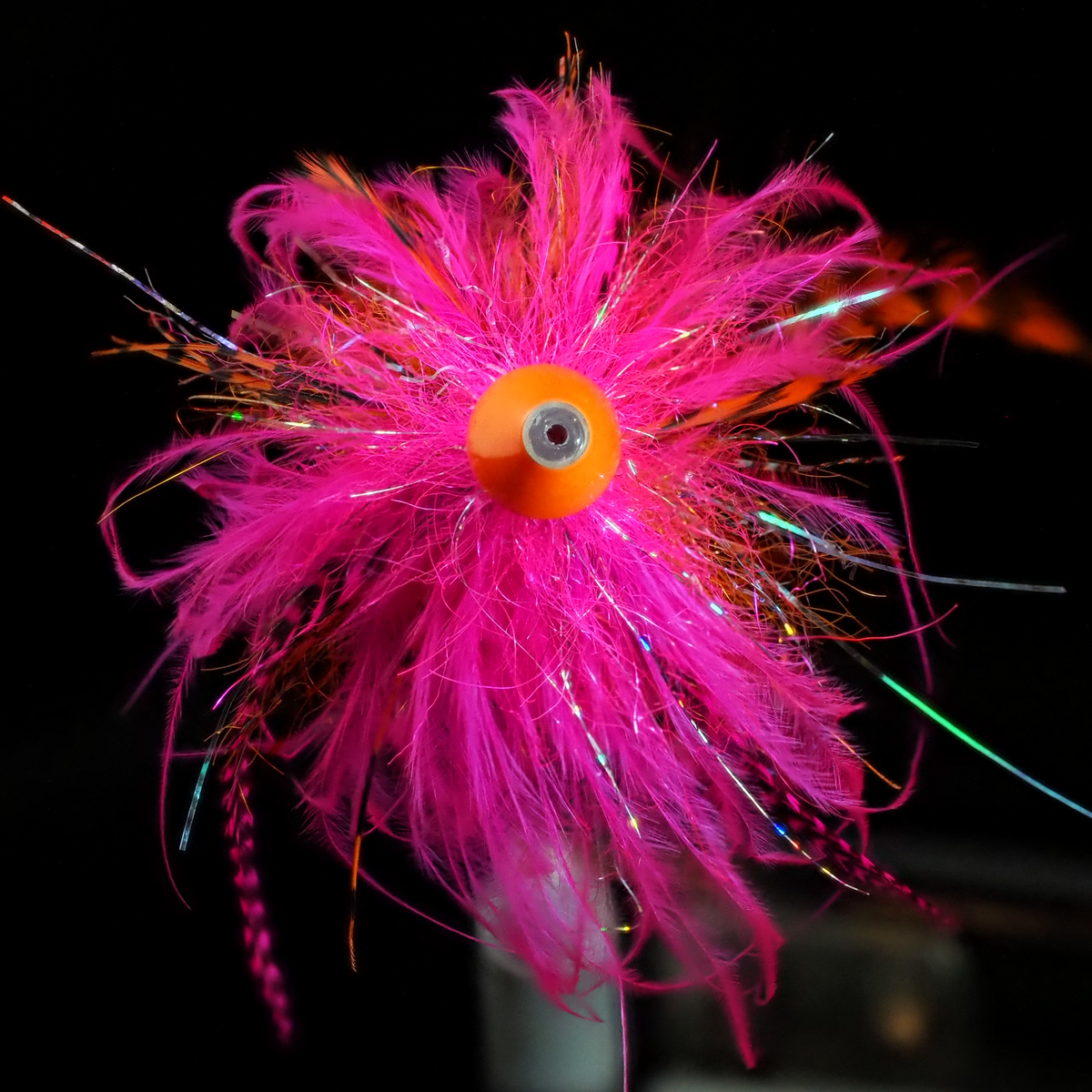 Fly Tie Tuesday -  Bologna Prawn - Sep/22/2020