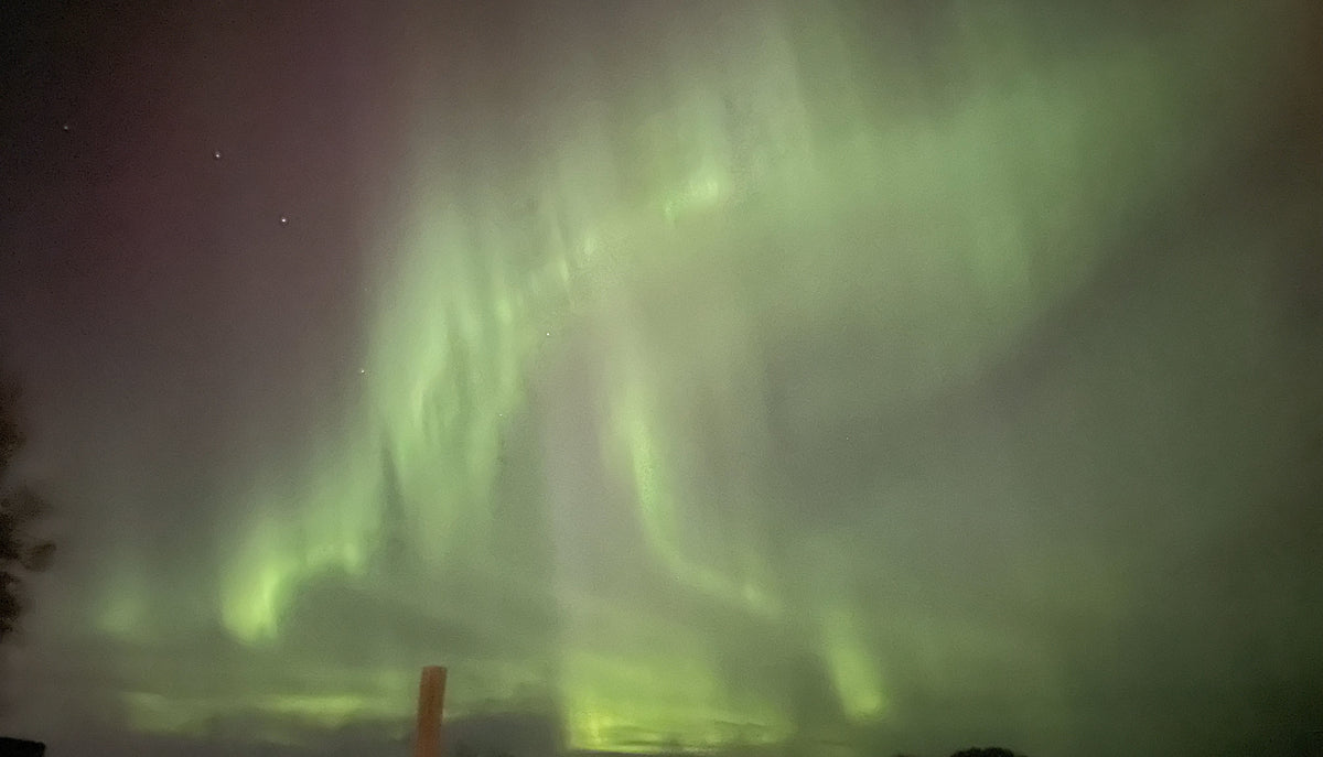 Bow River Fishing Report October 11, 2024