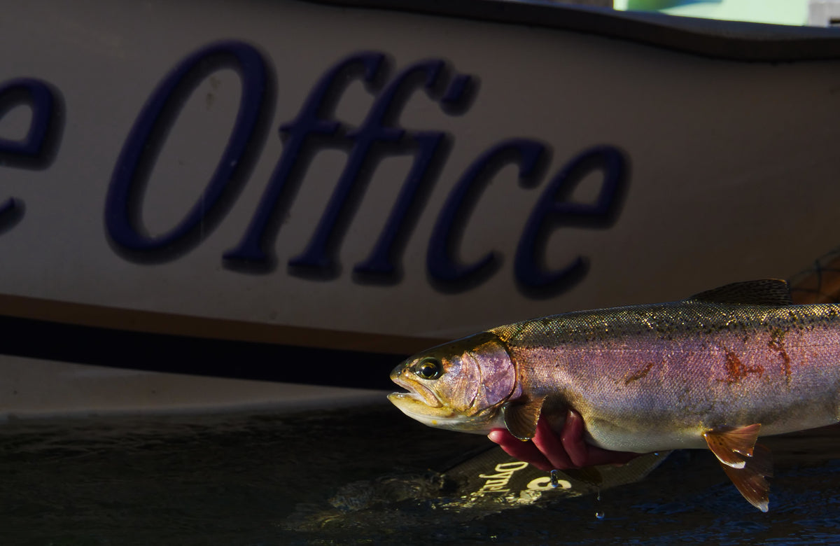 Bow River Fall Hopper Dropper Video