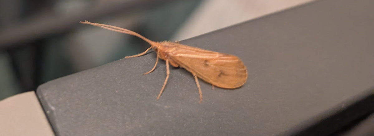 Bow River Fishing Report - September 12, 2025