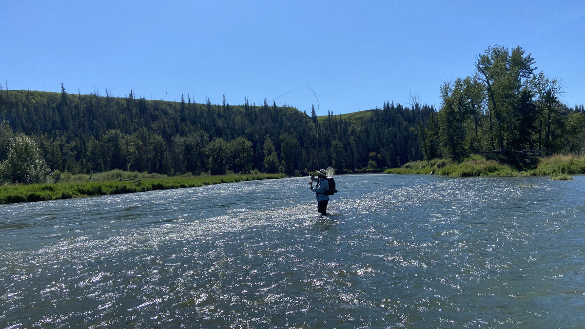 Bow River Fishing Report - September 19, 2025