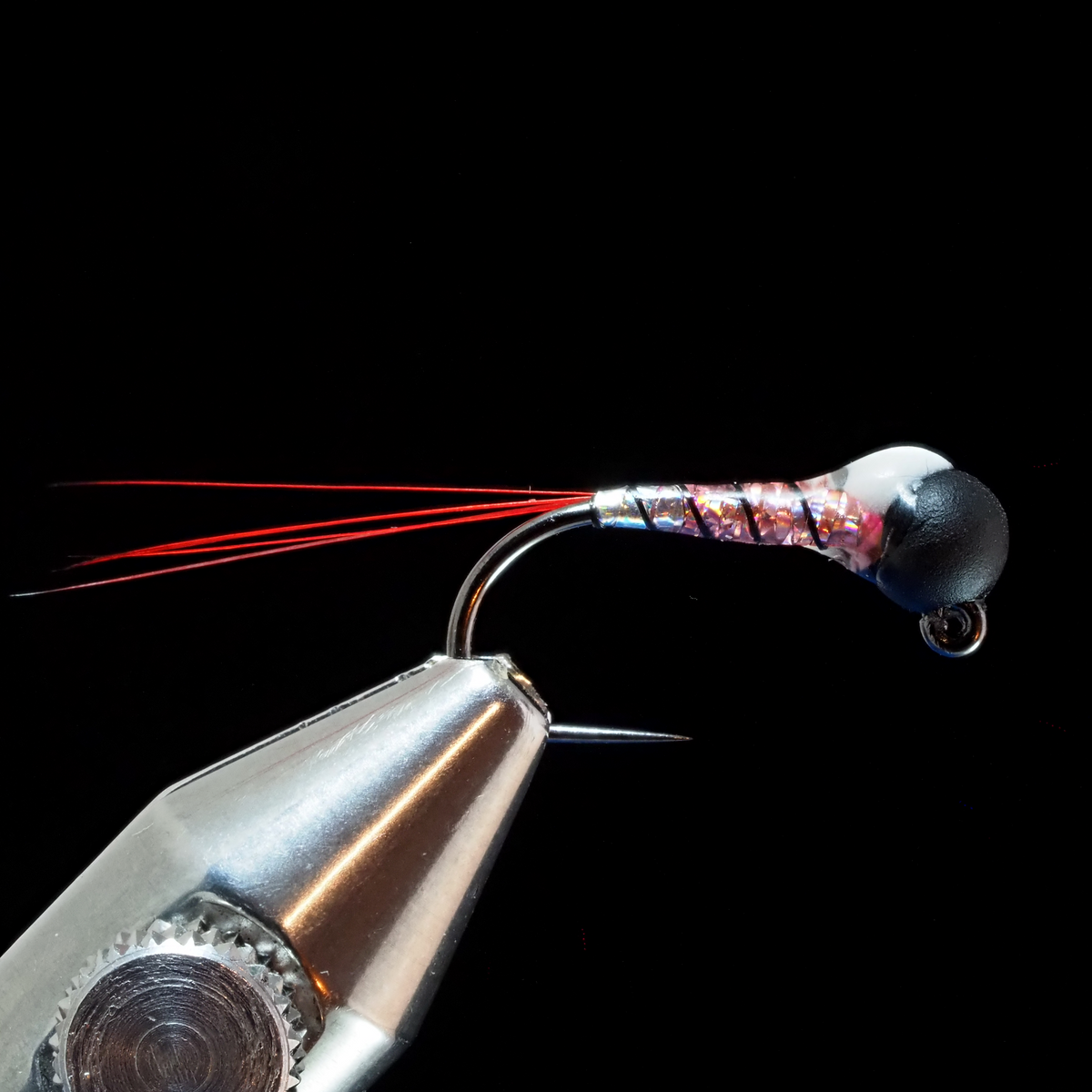 Fly Tie Tuesday - Nice and Shiny - Dec/08/2020