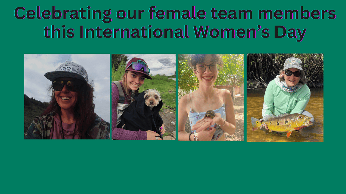 International Women's Day - March 8, 2024