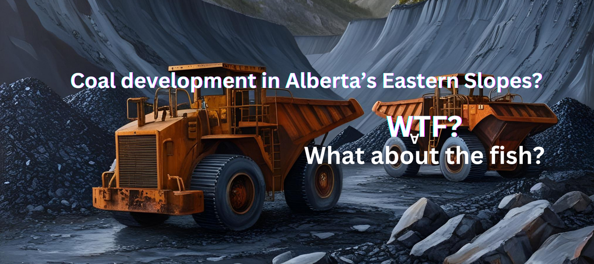 Thought the coal fight was over? Think again....