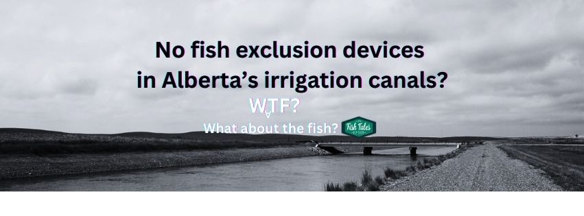 Fish Entrainment - an issue affecting Alberta fish popuations